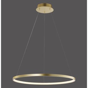 Leuchten Direkt 11524-12 - Lustră LED pe cablu CIRCLE LED/28,5W/230V