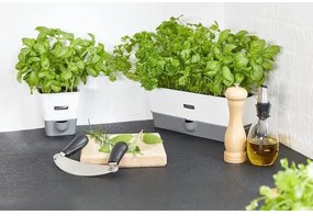 Râșniță pentru piper CAPSTAN BEECH fag 20 cm Cole&Mason