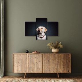 Tablou cu labrador (90x60 cm)