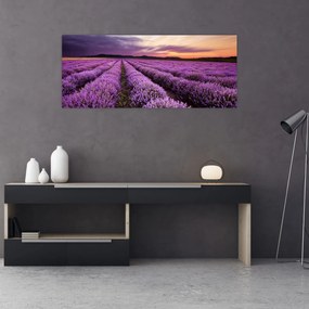 Tablou - Câmp de lavandă la apus de soare (120x50 cm)