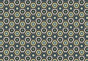 Fototapet - Hexagon (254x184 cm)