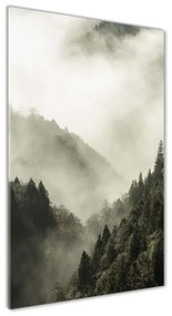 Pictura pe sticlă acrilică Ceață peste pădure