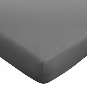Cearceaf gri închis din bumbac egiptean cu elastic 90x190 cm – Bianca