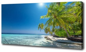 Tablouri tipărite pe pânză Plaja maldive