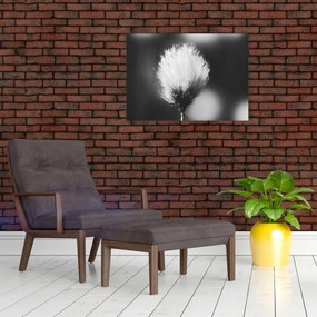 Tablou pe sticlă - Coțofană neagră și albă (70x50 cm)