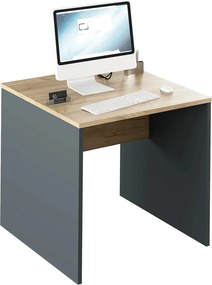 Masa birou RIOMA NEW TYP 17, gri grafit/stejar artisan, DTD laminat, 8
