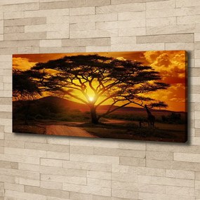 Tablou pe pânză Africa de vest