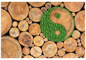 Fototapet autoadeziv Yin și Yang în design eco