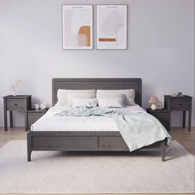 814544 vidaXL Noptiere, 2 buc., gri, 79,5x38x65,5 cm, lemn masiv de pin