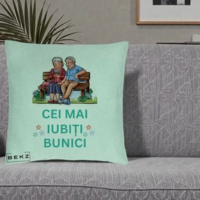 Cadou pentru Bunici - Perna Personalizata Cei Mai Iubiti Bunici Cuplu pe Banca Ilustratie, 40x40 cm, Verde Menta, Husa Detasabila, Perna Inclusa, BEKZ®