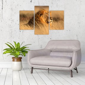 Tablou - Parcul Național Etosha (90x60 cm)