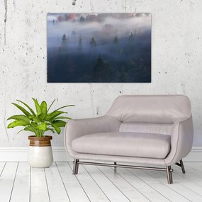 Tablou - Pădure în ceță, Carpați, Ucraina (90x60 cm)