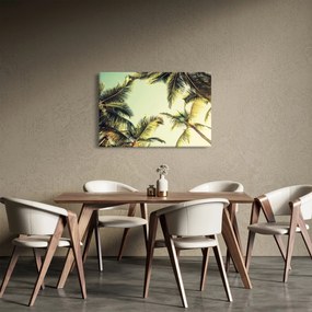 Tablou - Palmieri de cocos (90x60 cm)