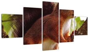 Tablou cu veverița (125x70 cm), în 40 de alte dimensiuni noi