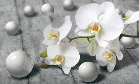 Fototapet - Orhidee albă (254x184 cm), în 8 de alte dimensiuni noi