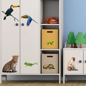 PIPPER. Autocolante pentru mobilier „Animale adevărate”
