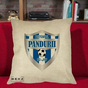 Perna Personalizata Pandurii Targu Jiu Fotbal, 40x40 cm, Crem, Husa Detasabila, Perna Inclusa, BEKZ®