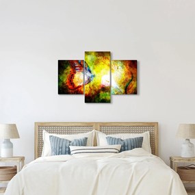 Tablou - Fluture spațial (90x60 cm)