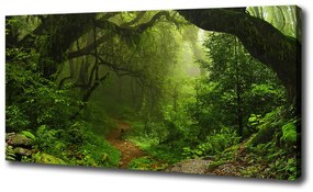 Tablou pe pânză Jungle în nepal