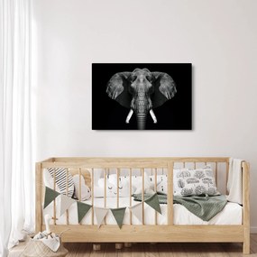 Tablou - Elefant pe fundal negru (90x60 cm)