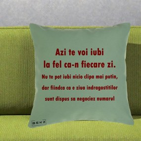 Cadou pentru Iubita - Perna Personalizata Azi Te Voi Iubi, 40x40 cm, Verde, Husa Detasabila, Perna Inclusa, BEKZ®