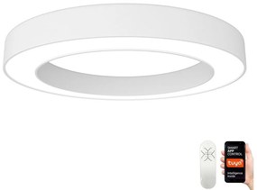 Plafonieră LED dimabilă Immax NEO 07212L PASTEL LED/53W/230V alb Tuya + telecomandă