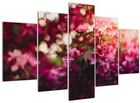 Tablou cu florile tufișului înflorit (150x105 cm)