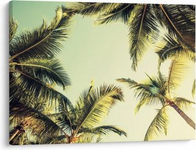 Tablou - Palmieri de cocos (70x50 cm)