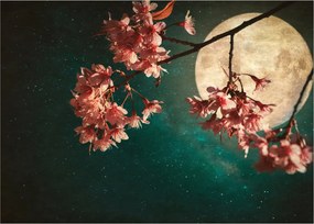 Tablou - Sakura în luna plină (70x50 cm)