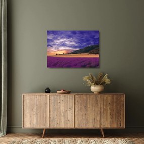 Tablou pe sticlă cu lunca cu lavandă (70x50 cm)
