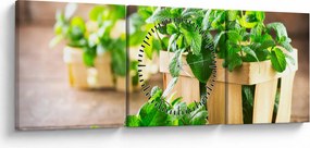 Tablou cu menta proaspătă (cu ceas) (90x30 cm)