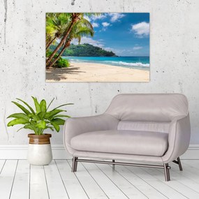Tablou - Caraibe (90x60 cm)
