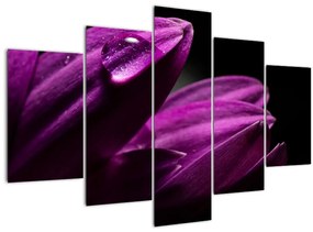 Tablou - Picătura de apă (150x105 cm)