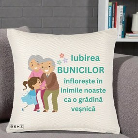 Cadou pentru Bunici - Perna Personalizata Bunicii Iubirea Infloreste cu Nepoata Teal, 40x40 cm, Crem Reliefat, Husa Detasabila, Perna Inclusa, BEKZ®