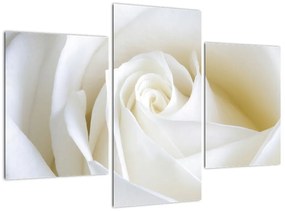 Tablou - trandafiri albi (90x60cm)