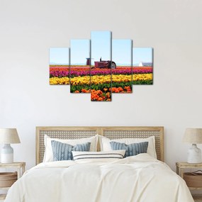 Tablou cu farma de lalele (150x105 cm)
