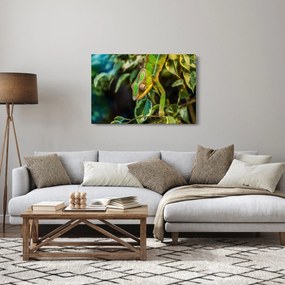 Tablou cu cameleon (90x60 cm)