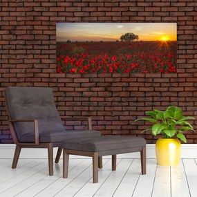 Tablou cu lunca și macii (120x50 cm)