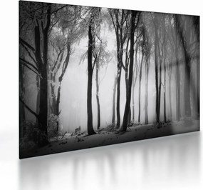 Tablou pe sticlă - Lup în pădurea întunecată (70x50 cm)