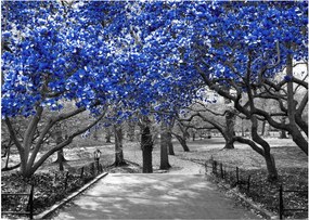 Tablou - Copaci albaștri Central Park, New York (70x50 cm)