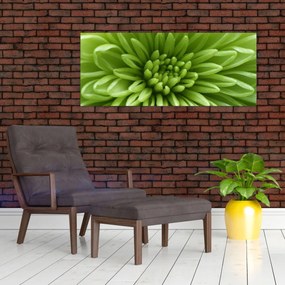 Tablou - Imagine macro a unei plante (120x50 cm)