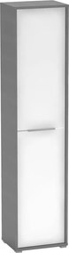 Dulap RIOMA NEW TYP 06, gri grafit/alb, DTD laminat, cu 2 usi, 50x38x2
