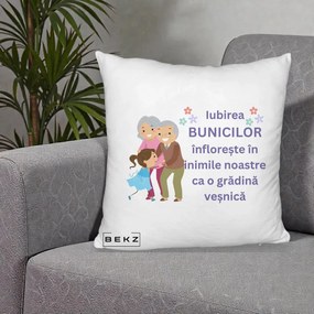 Cadou pentru Bunici - Perna Personalizata Bunicii Iubirea Infloreste Bunici cu Nepoata Colorat, 40x40 cm, Alb Pufos, Husa Detasabila, Perna Inclusa, BEKZ®