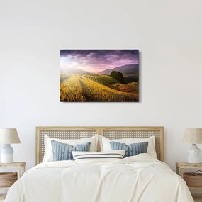 Tablou peisajului (90x60 cm)