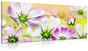Tablou flori de grădină