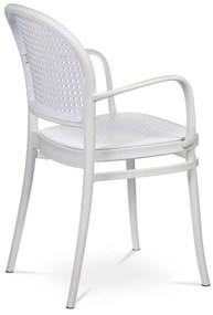 Set de scaune de sufragerie CT-746 WT, 4 buc