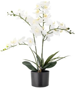 Plantă artificială (înălțime 84 cm) Orchid – Bloomingville