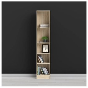 Bibliotecă Tvilum Basic, 41x203 cm, natural