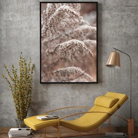 Poster - Florile plantei (A4)