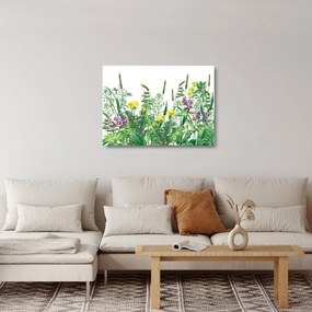 Tablou pe sticlă - Flori de pajiște pictate (70x50 cm)